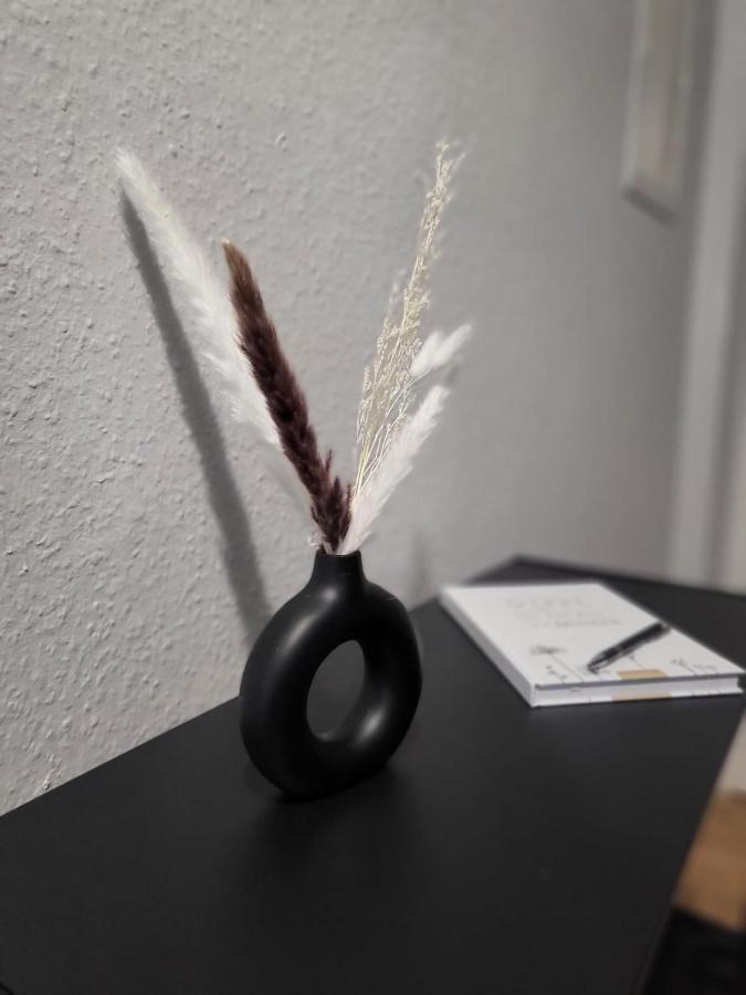 Lorenz Mit Kostenlosem Parkplatz Netflix Boxspringbett Kueche Apartment *